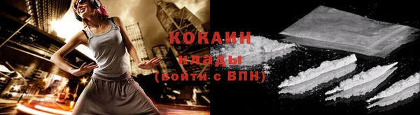 прущие грибы Абаза