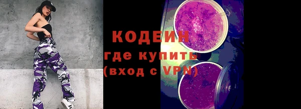 прущие грибы Абаза