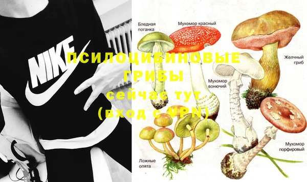 гашик Абинск