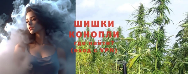 дмт Няндома