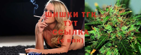 гашик Абинск
