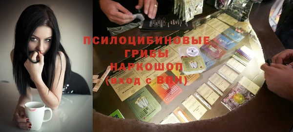 прущие грибы Абаза
